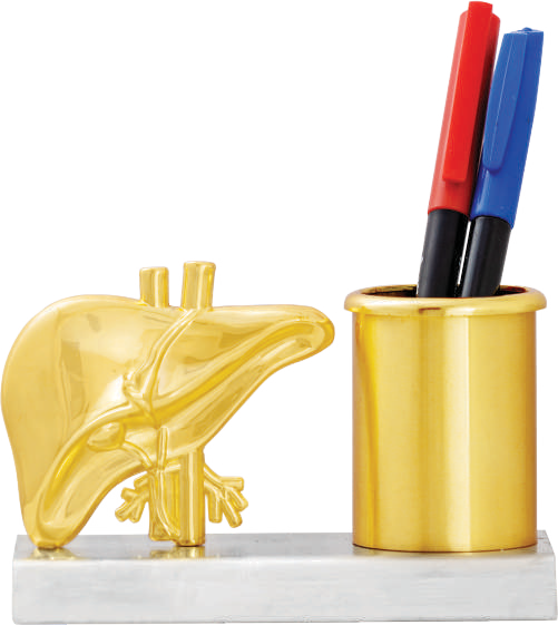 Liver Pen Stand