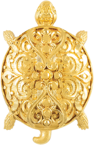 Filigree Turtle